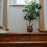 La Casa Di Betti 펜션 치손디발마리노